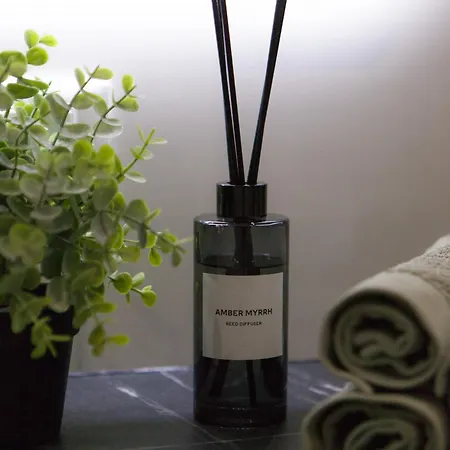 Romanapartments 아파트 메스트레